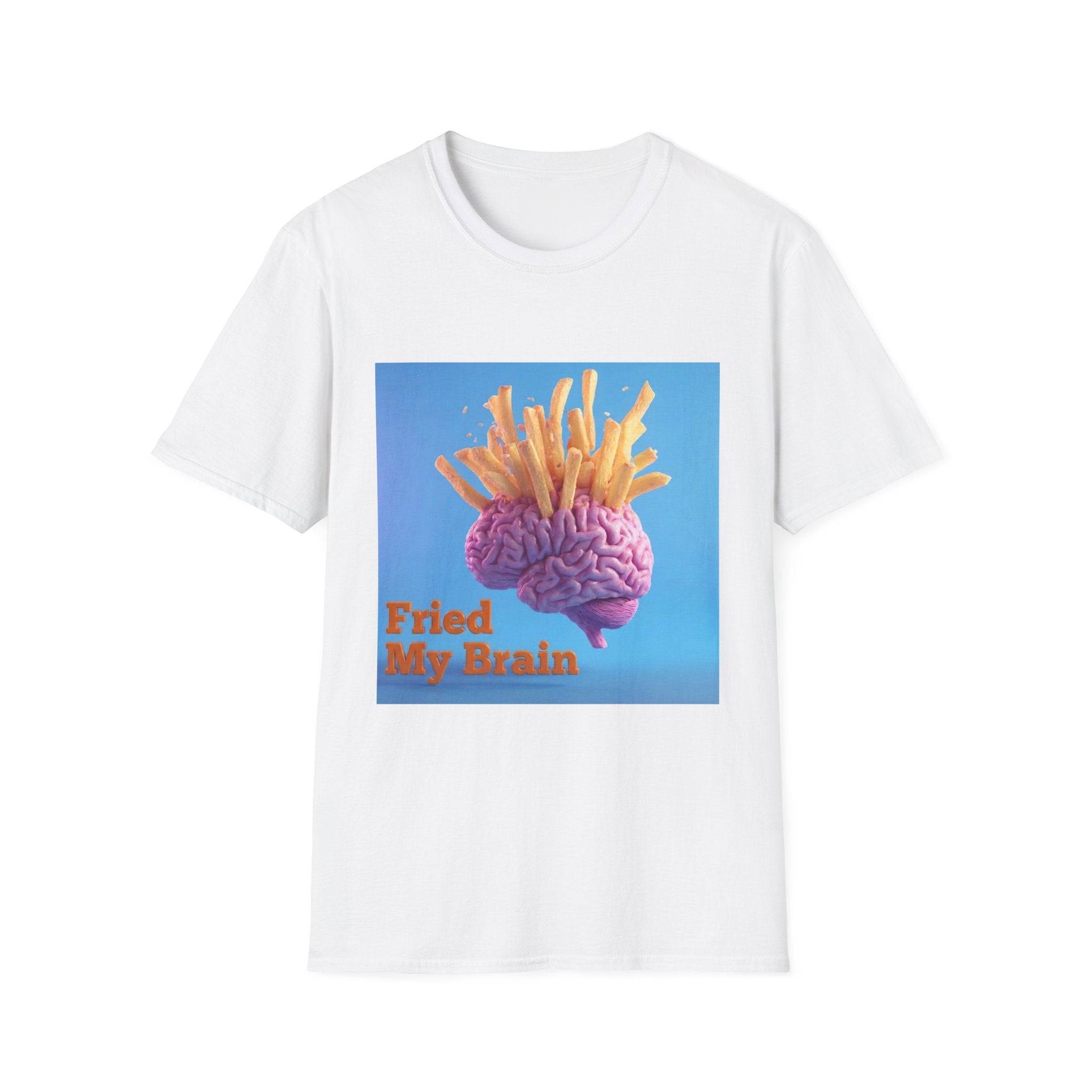 Fried My Brain In the Sky
